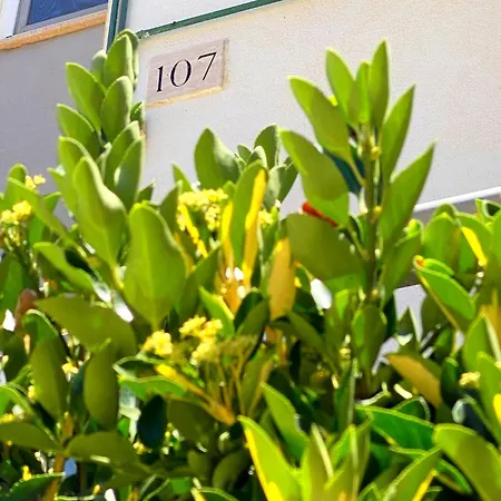 Apartment 107 - Roma Fiumicino Exterior photo