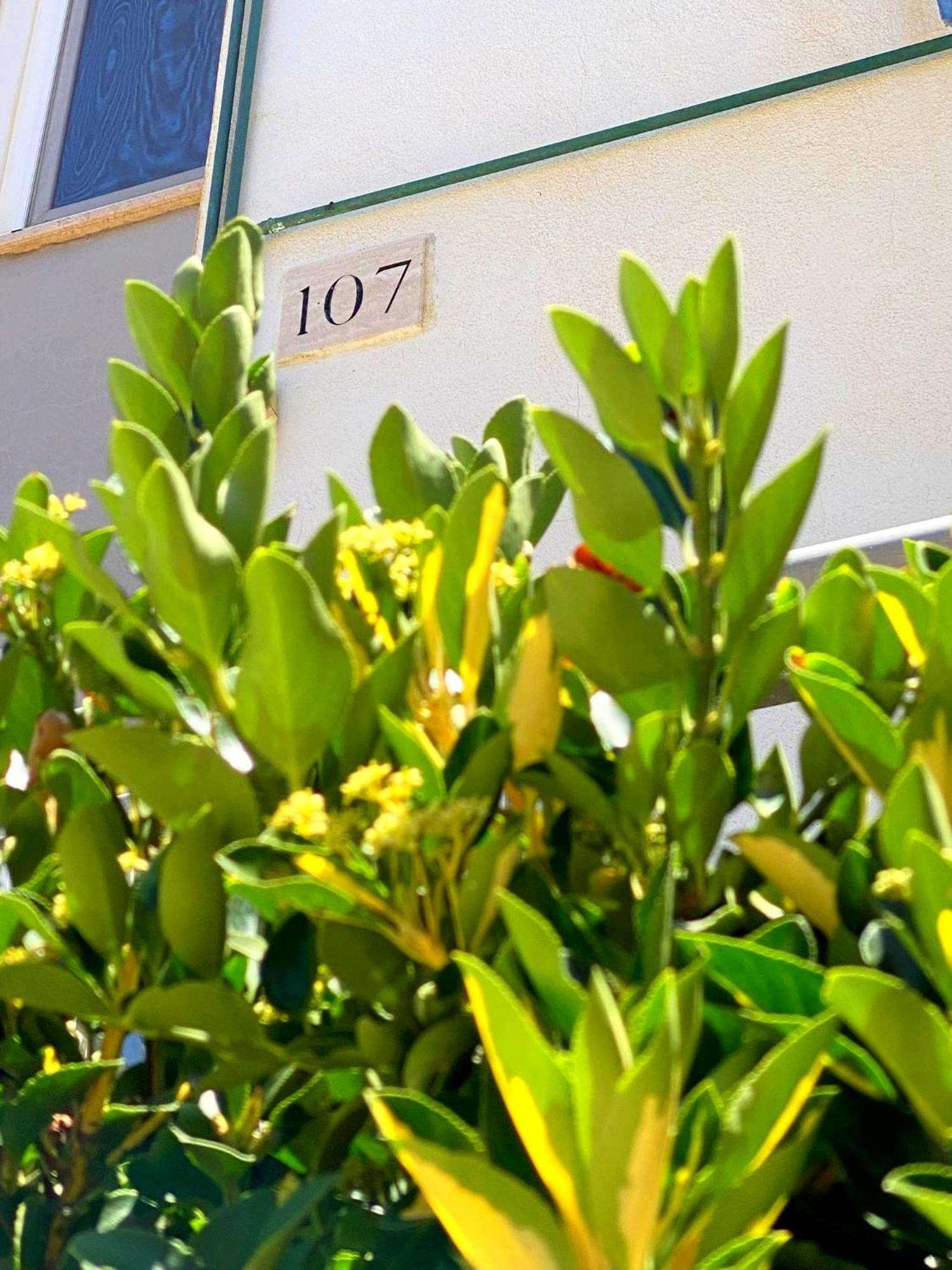 107 - Roma Apartment Fiumicino